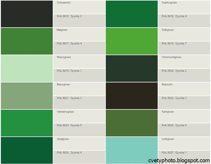 Оттенки зеленого цвета названия и фото в интерьере