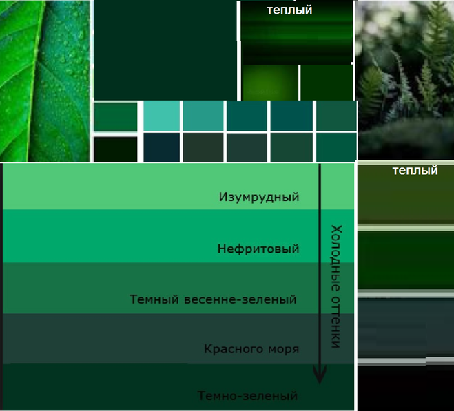 Преобладание зеленого цвета в рисунке