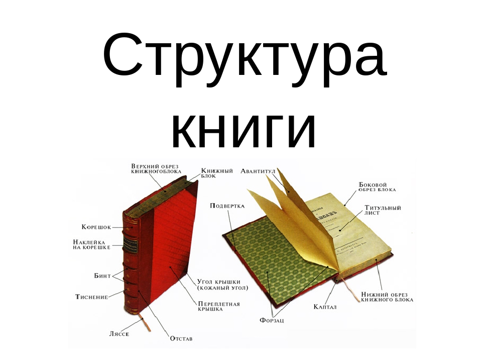 Структура книги 3 класс презентация