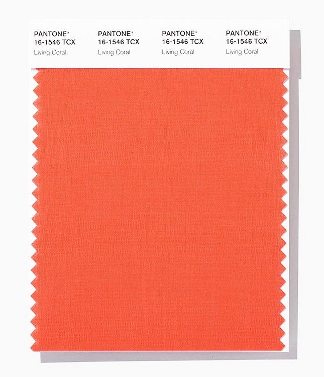 Главный цвет года 2019 по версии Pantone, фото № 2