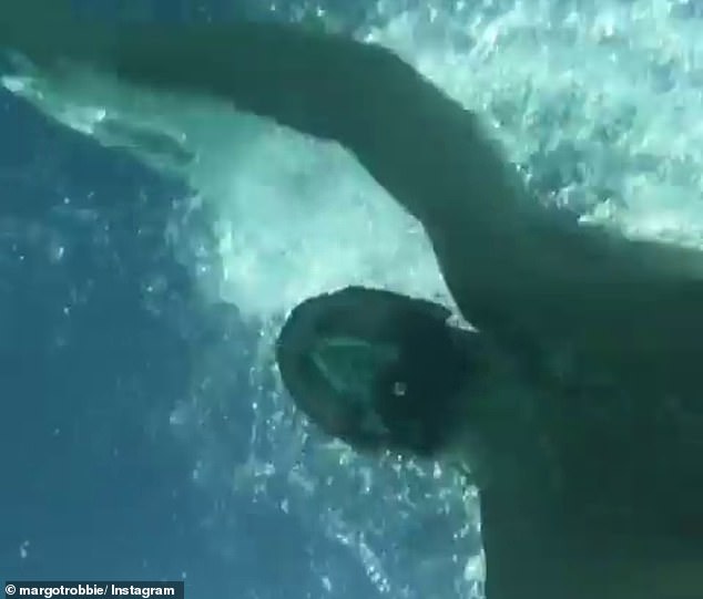 Vacationing: Using an underwater camera she captured her man swimming