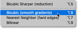 Choosing the Bicubic (smooth gradients) interpolation method for the cleanest results when downsampling an image