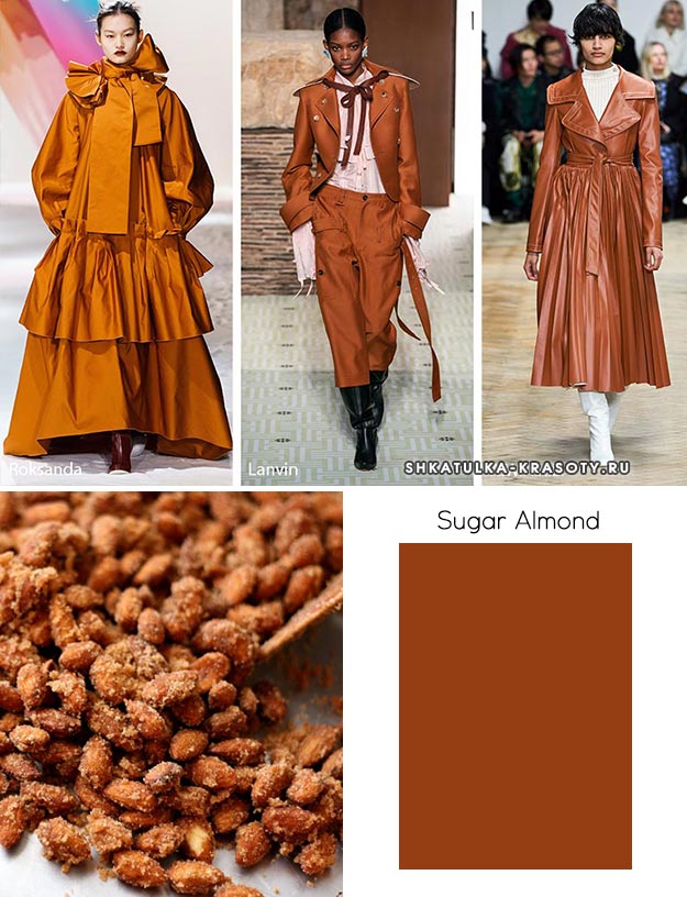 Sugar Almond (Сахарный миндаль) - модный цвет осень зима 2019 2020