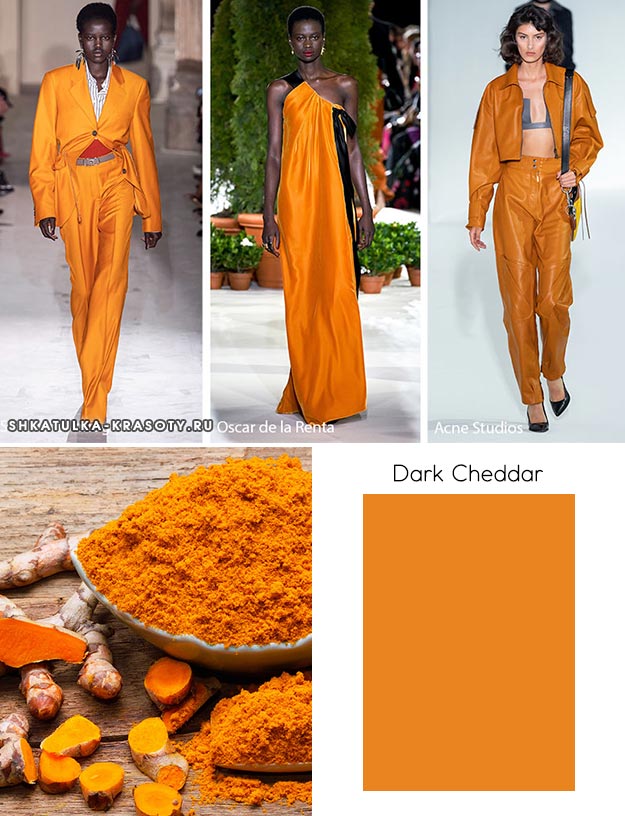 Dark Cheddar (Темный чеддер) - модный цвет осень зима 2019 2020
