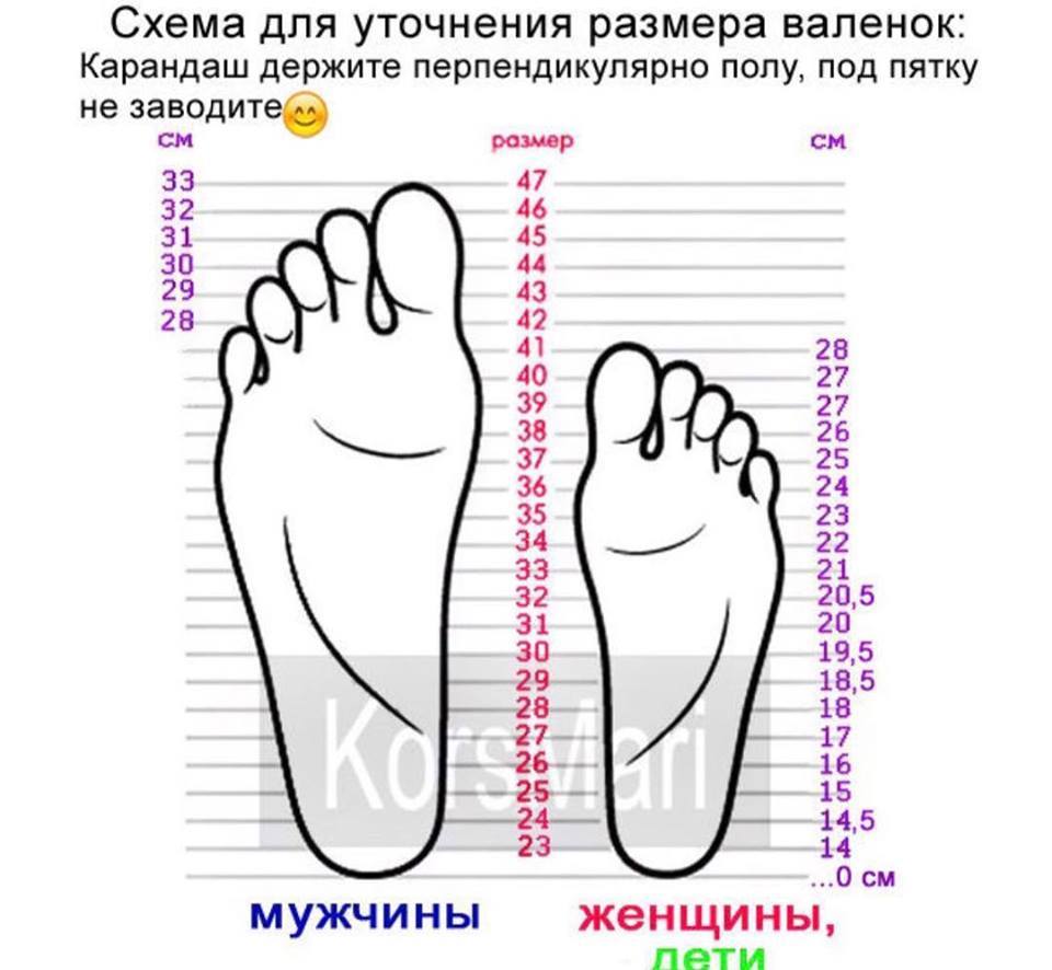 Длина ног мужчины
