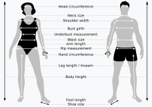 Examples of body measurements used for sizing of clothes