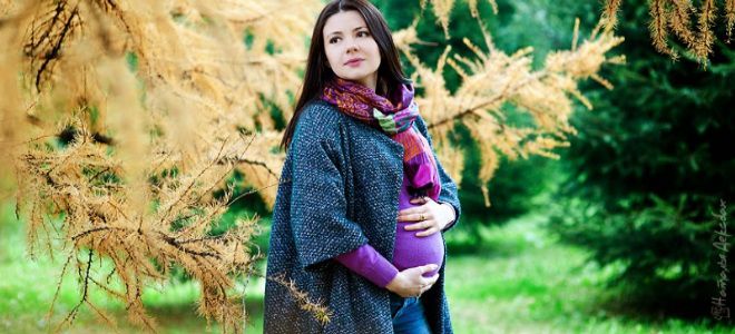 пальто для беременных